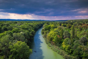 Ekvatorialni gozdovi afrika